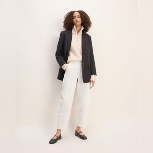Everlane Utility Barrel Pant